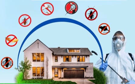 🐜 Pest Control Service 🛑