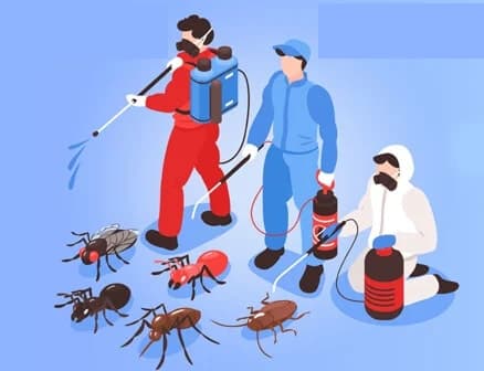 Pest Control